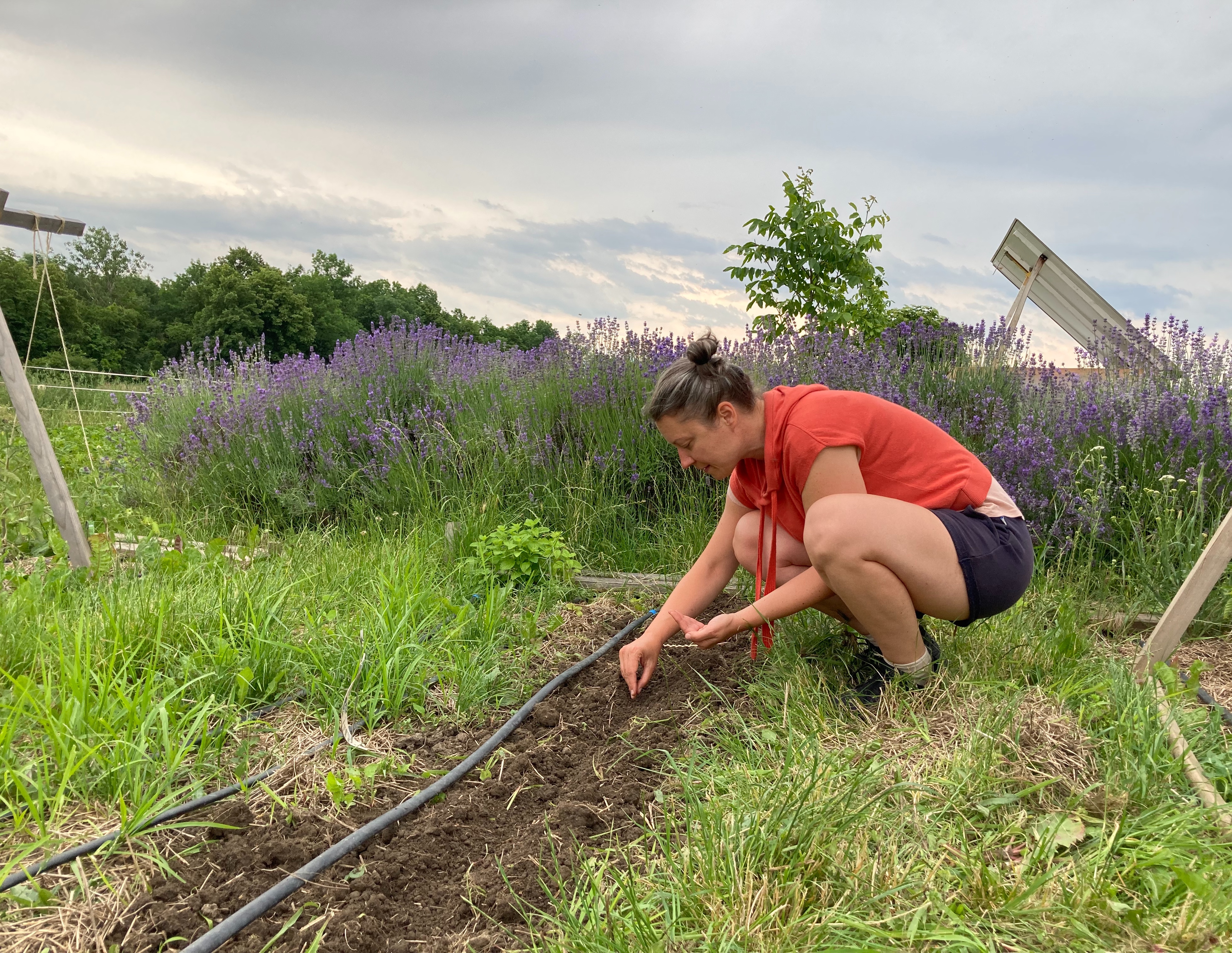 Grinberg Pratitioner |